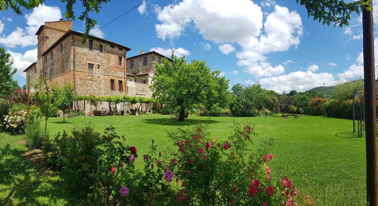 Agriturismo Abbazia Sette Frati A Casa Di Sara Pietrafitta  Εξωτερικό φωτογραφία