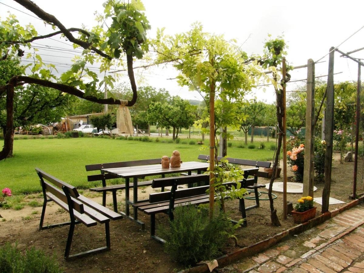 Agriturismo Abbazia Sette Frati A Casa Di Sara Pietrafitta  Εξωτερικό φωτογραφία